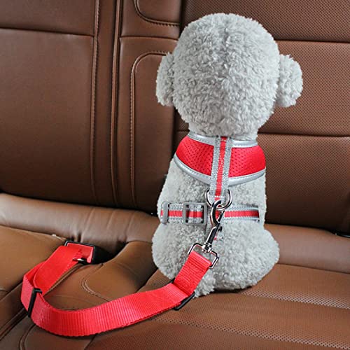 Hundegurt fürs Auto 1 Stück, Anschnallgurt Hund Auto für Kleine/Große Hunde, Sicherheitsgurt Hunde für Auto Einstellbarer Lang und Kurz, Hundeanschnaller fürs Auto Kofferraum