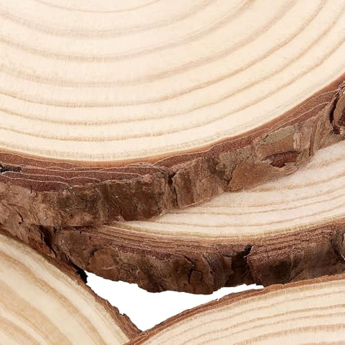 Tranches de bois de qualité supérieure avec écorce pour art et design