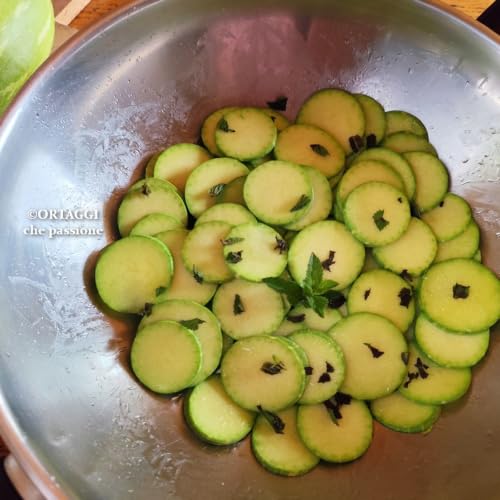 Zucchine trombetta in padella sfiziose