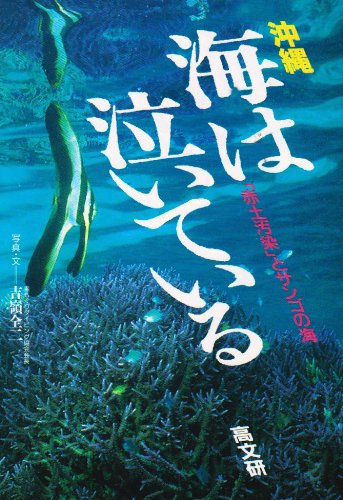 南国沖縄のサンゴ maxresdefault.jpg