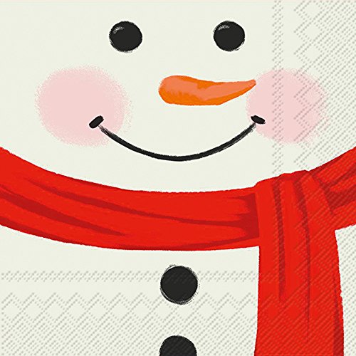 Boston International IHR 3-Ply Paper Napkins, 20-Count Cocktail Size, Snowman Face, (C015000)