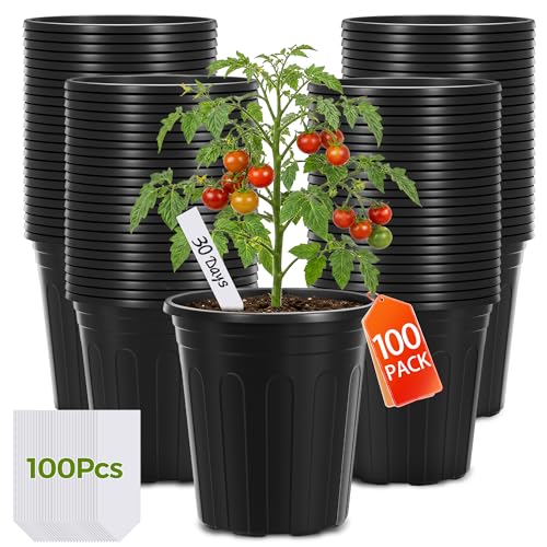 GroTheory 100 Pack 1 Gallon Nursery Pots 6.7 Inch Plastic Pots for Plants Plastic Flower Pots Plant Pot Seedling Pots for Potting Seed Succulent Planting Pots with Plant Labels