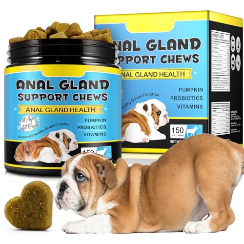 Suplementos De Apoyo Anal para Perros, Suplementos De Apoyo A La Diarrea para Perros 375G, El Tratamiento De Enzimas Masticables Y Digestivas Y Funciones Intestinales Saludables De Probióticos