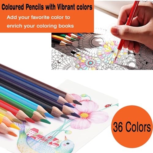 Image of PAXCOO Professional Vibrant Color Pencil 36pcs Set,Art Drawing Pencils for Artists Kids Beginners,Premium &Professional Artist Colored Pencil Set Ideal for Drawing,Sketching,Painting(Multicolor)