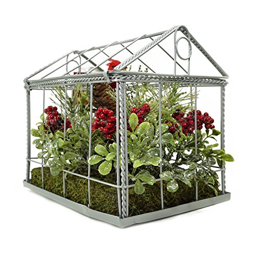 Northlight Cardinal Boxwood Artificial Christmas Greenhouse Arrangement - 9" -