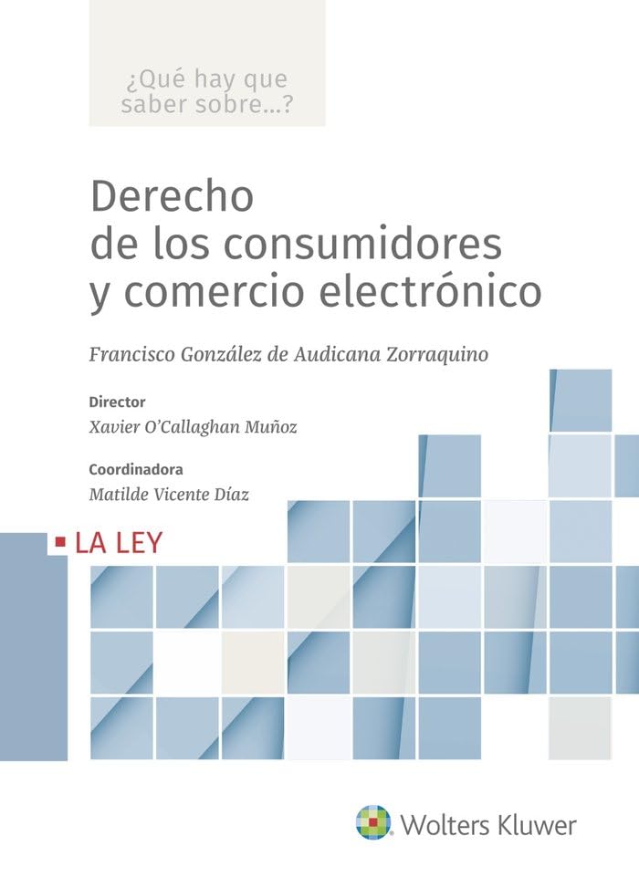 Derecho de los consumidores y comercio electrónico (SIN COLECCION)