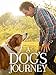 A Dog's Journey