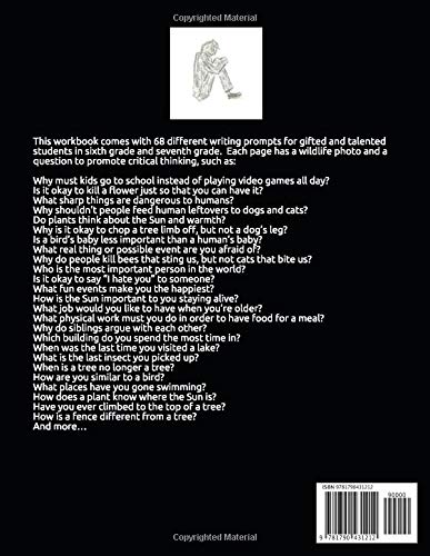Challenging Writing Prompts for Gifted and Talented Students (6th and 7th Grade) - Image 2