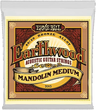 Ernie Ball Earthwood Custom Medium Phosphor Bronze, Corde Per - Foto 4