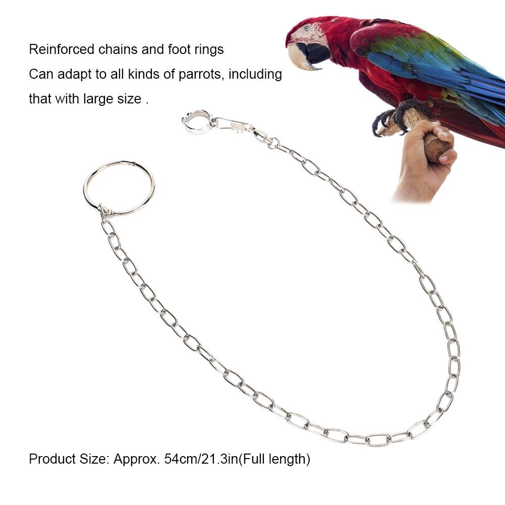 Catene per Piedi per Uccelli Accessori per Anelli per Caviglie in Acciaio Inossidabile Guinzaglio per pappagalli Pappagalli da Esterno Corda per addestramento al Volo Impedisci la Fuga