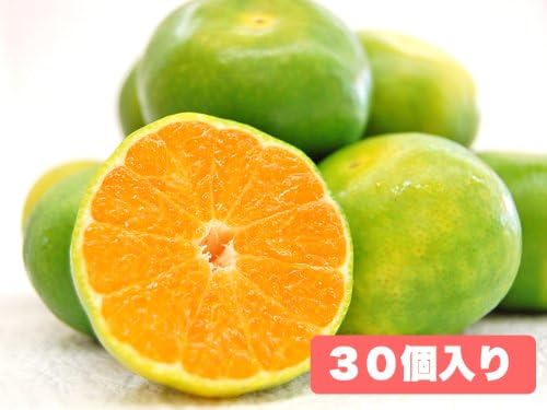 Amazon 三ケ日グリーンハウスみかん30個入り 静岡県 果物 通販 Amazon 三ケ日グリーンハウスみかん30個入り 静岡県 果物 通販