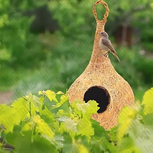 Image of Bird Feeder Water & Food Tray with Nest | Hanging Balcony Bird Feeder for Home Garden | Attracts Sparrows, Parrots, and More - Ideal for Outdoor Use (Nest + Food + Water Feeder)