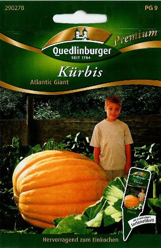 Preisvergleich Produktbild Kürbis, Atlantic Giant