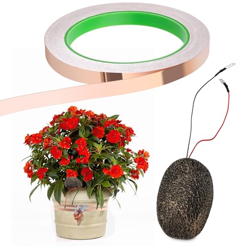 Solaradgy Controle de caracol