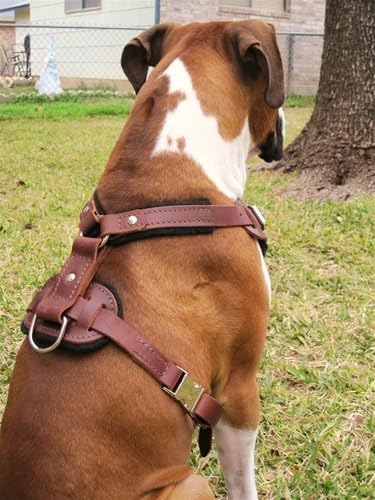 Dean & Tyler The Boss Leather Harness with Nickel Hardware and a Handle, Large, Brown