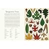 Botanicum Hardcover September 8, 2016