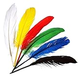  Meyco Indianderfedern bunt 17 Stck