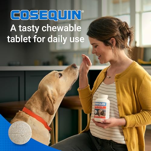 Image of Nutramax Cosequin for Dogs Joint Health Supplement, Contains Glucosamine for Dogs, Plus Chondroitin and MSM, Supports Healthy Joints, Chewable Tablets, 250 Count
