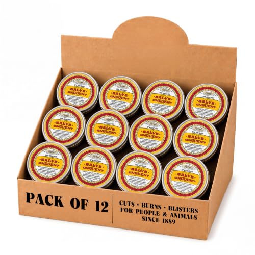 Rawleigh Antiseptic (Original) Salve Small Tin 0.96 oz / 27g - (Pack of 12)