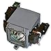 HFY marbull TLPLMT8 Lampada di ricambio con alloggiamento per TOSHIBA TDP-MT8, TDP-MT800/TDP MT8U-Proiettore