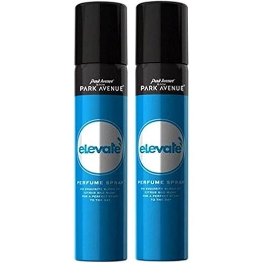 Park Avenue Elevate Spray 100g