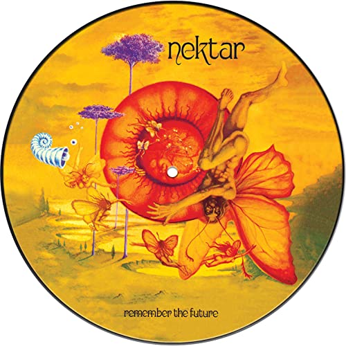 Remember The Future - Vinyl release thumbnail