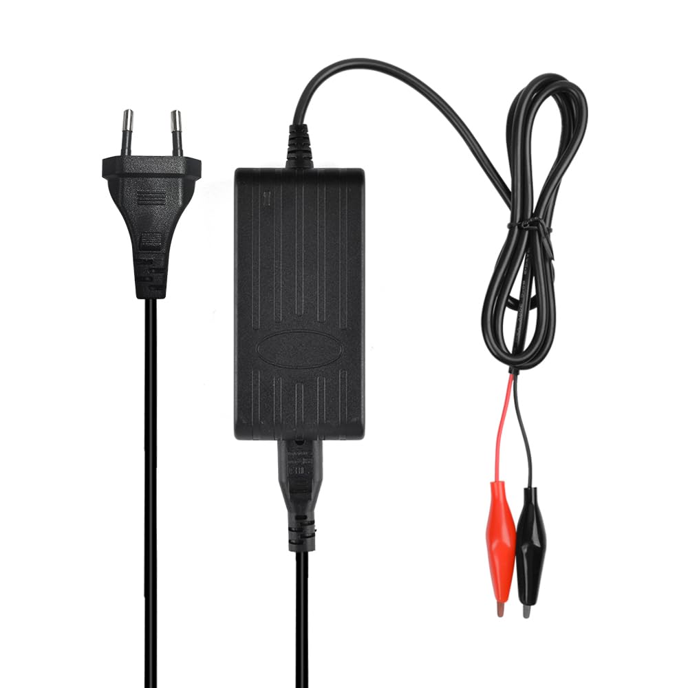 LiFePO4 batteria 24 V 6 Ah litio ferro fosfato batteria per campeggio, barca, roulotte solare