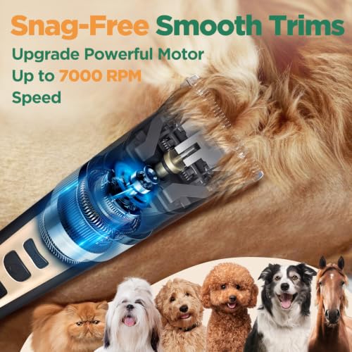 Gimars Professional 7000rpm Low Noise 55db Cordless Rechargeable Dog Clippers, 3.0 Motor Powerful Dog Long Hair Trimmer Grooming Shaver Kit, Electric Pet Hair Clippers for Cat, Horse - Image 2