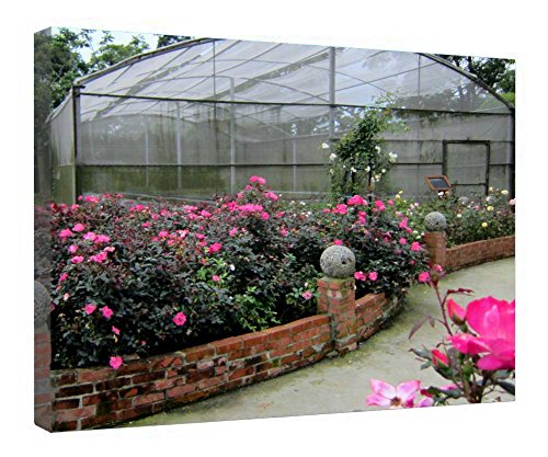 Tableau fleurs roses sur toile tendue et châssis bois haut de gamme