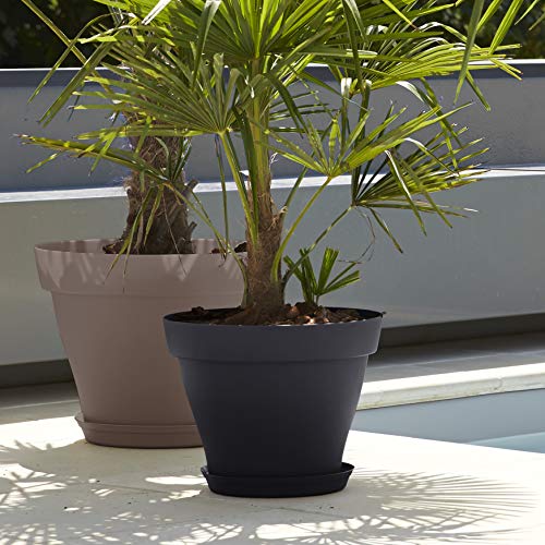 Decora tu terraza con Poetic Jardin Romeo morado y negro para plantas 3