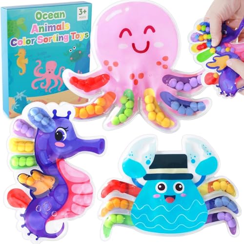 hopihy 3 Stück Color Sorting Sensorisches Spielzeug Fidget Toy zum Sortieren der Farben, Anti Stress Spielzeug Montessori Spielzeug Baby Sortierspiel zum Zählen Sortieren Farben Lernen