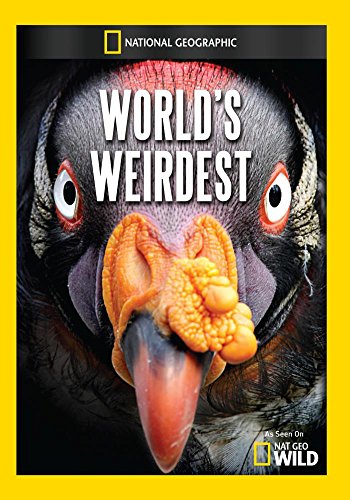 National Geographic: World's Weirdest B00ARM3DHI Book Cover