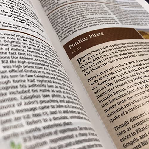 Image of NIV Study Bible, Fully Revised Edition (Study Deeply. Believe Wholeheartedly.), Hardcover, Red Letter, Comfort Print