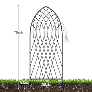 Amagabeli 2 pack large garden trellis for climbing plants 75 x 31 heavy duty rustproof black iron plant trellis for potted plants support tall wall metal trellis for rose vegetables cucumber gt05  urban country home decor