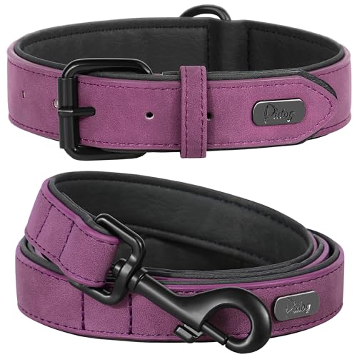 Image of Didog PU Leather Dog Collar and Leash Set, Soft Padded, Purple, Neck 18-22 inch
