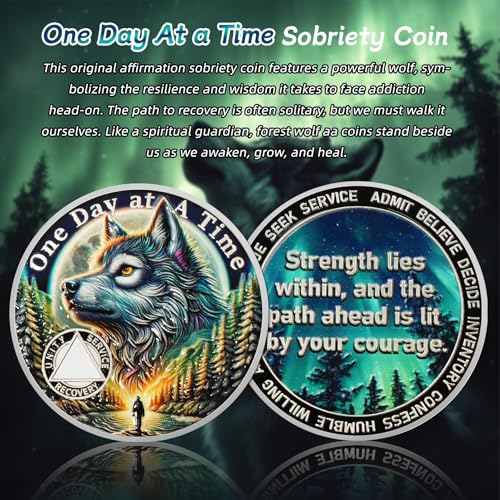 one day at a time sobriety coin - recovery aurora forest wolf aa coins - addiction na aa chips and medallions - celebrate 1-65 sober living clean narcotics alcoholics anonymous gifts for men women