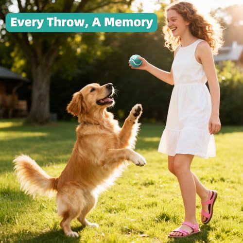 Image of Sunraymascota 6-Pack Tennis Balls for Dogs Fetch Toys,for Beginner Practice