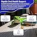 HA4E - Reptile Oral Health Support - Natural Mouth Rot Relief & Oral Hygiene Formula - Supports Gum Health, Comfort & Healing - 300 Tablets