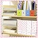 AmazingSpark Set of 4 Pink Bow Magazine File Holder Decorative Foldable Cardboard Magazine Storage Boxes with Acrylic Label Holders Coquettish Boho Organizer for Office Home Organization Storage