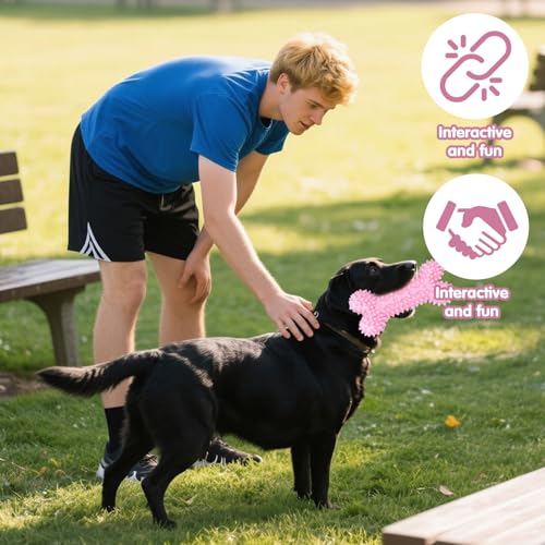 Ajuanbazha 5 Stück Hundespielzeug Set, Kauspielzeug für Welpen und Kleine Hunde mit Ball und Baumwollseilen, Interaktives Spielzeug zur Zahnpflege und Stressabbau