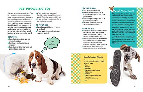 A Kid's Guide to Dogs: How to Train, Care For, and Play and Communicate with Your Amazing Pet!
