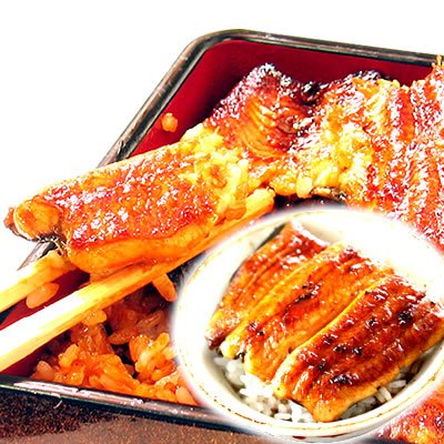 国産うなぎ ギフト グルメギフト 国内産 鰻(うなぎ)の蒲焼 小ぶり・訳ありサイズ（55～60ｇ）