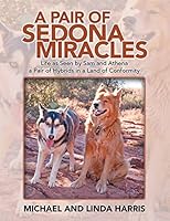 Algopix Similar Product 12 - A Pair of Sedona Miracles Life As Seen