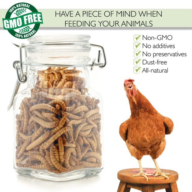 PICKY NEB 100% Non-GMO Dried Mealworms 5 lb - Whole Large Meal Worms Bulk - High-Protein Treats Perfect for Your Chickens, Ducks, Wild Birds - Image 3