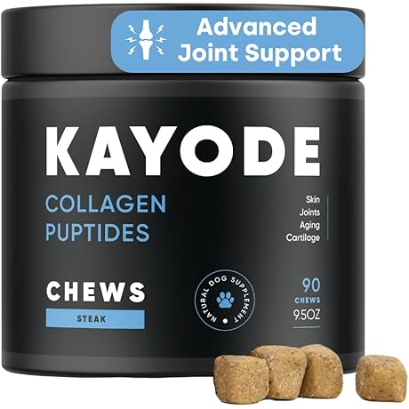 Collagile: Premium Collagen for Happy, Healthy Dogs
