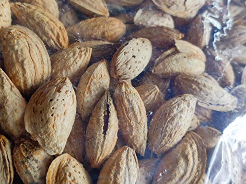 Image of Grade B /sasta badam /Low Price mamra badam 1kg