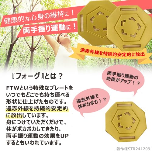 FTW フォーグプレート本