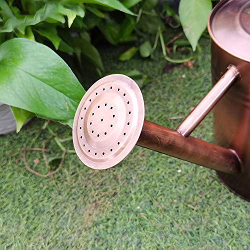 yourjoy Sliver Galvanized Steel Watering Can with Copper Accents,Removable Rosette-Diffuser,One-Gallon