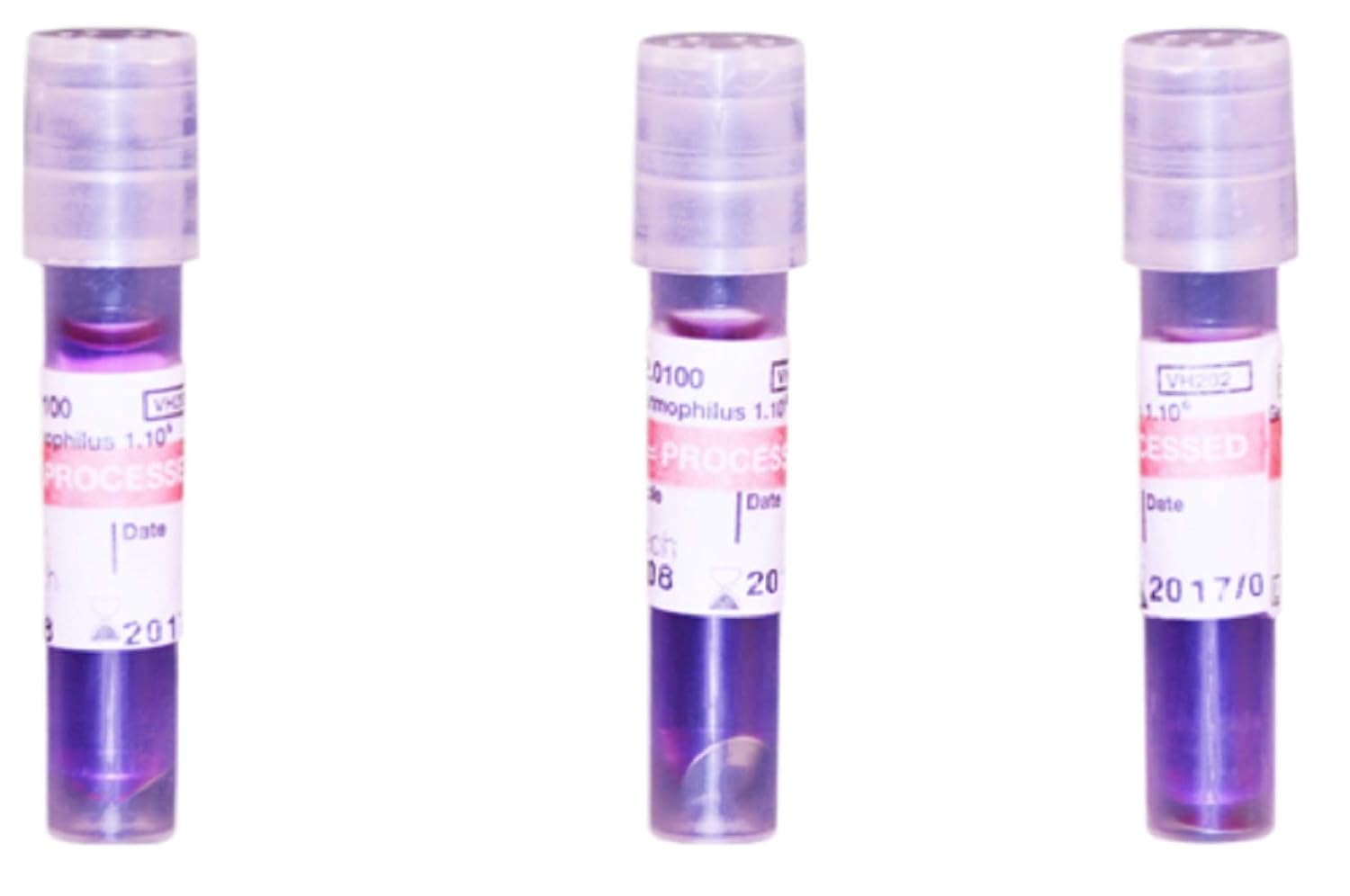 Medif Autoclave (Steam) Biological Indicator 10^5 (Pack of 20) Amazon.in Industrial & Scientific