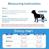 Hundewindel Hosenträger 2 Stück,Hunde-Hosenträger können verhindern DASS Windeln oder Unterwäsche herunterrutschen,für schutzhose läufige,katzenwindel,rüdenwindel (Schwarz+Rosenrot, M)
